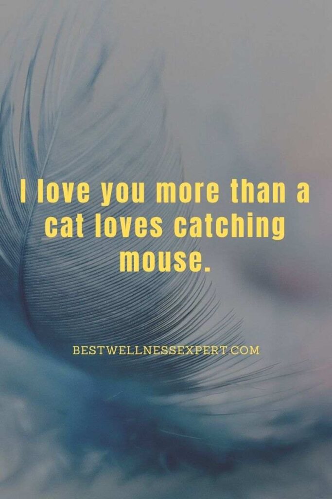 I love you more than a cat loves catching mouse.